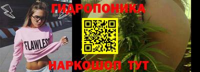 крисы Малоярославец
