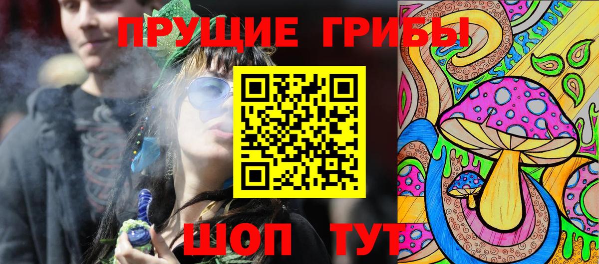 Шарыпово  Псилоцибиновые грибы MAGIC MUSHROOMS  Вход с VPN 